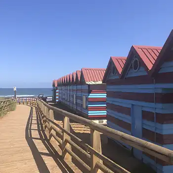 Ir a la web Costa Vasca