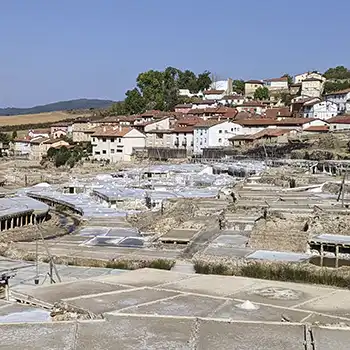 Ir a la web Turismo industrial